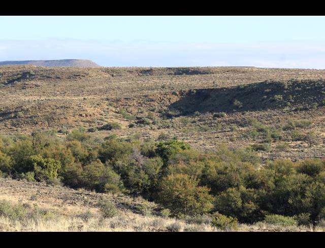 5,614HA FARM FOR SALE IN MERWEVILLE